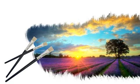 Creative concept image of paint brushes painting stunning lavender fields sun Illustrazione stock