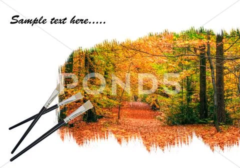 Creative concept image of paint brushes painting autumn fall forest landscape Stock Illustration