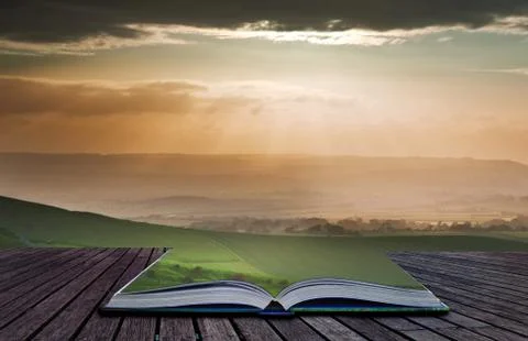 Creative concept image of summer landscape in pages of book Stock Photos
