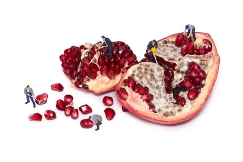 Creative concept with miniature workers take out the seeds of the pomegranate Stock Photos