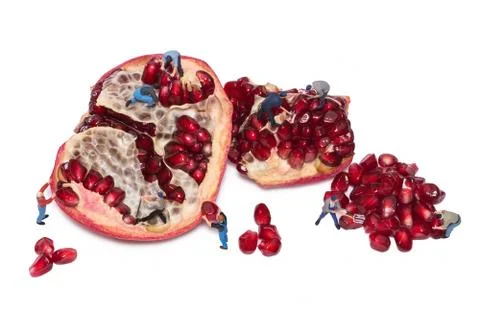 Creative concept with miniature workers take out the seeds of the pomegranate Stock Photos