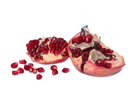 Creative concept with miniature workers take out the seeds of the pomegranate Stock Photos