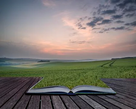 Creative concept pages of book summer sunrise over landscape of fresh wheat f Stock Photos