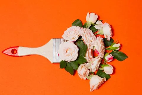 Creative concept of paintbrush and white - pink rose flowers Stock Photos