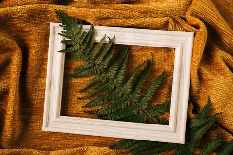 Creative concept of white wood frame with green fern branch against golden ye Foto stock