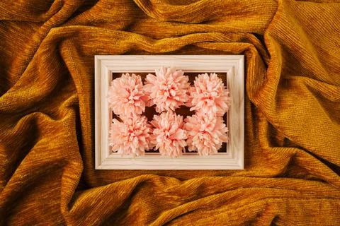 Creative concept of white wood frame with pink spring flowers against golden Foto stock