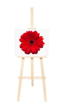Creative conceptual idea easel with red gerbera flower isolated on white ba.. Stock Photos