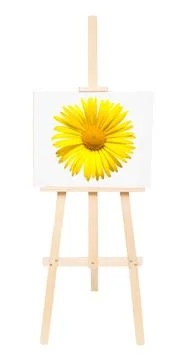 Creative conceptual idea easel with yellow chamomile flower isolated on whi.. Stock Photos