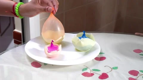Creative cooking day: woman using balloons to make figures with white chocola Stock Footage 159358483
