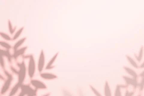 Creative copyspace with shadows on a shiny soft pink wall Stock Photos