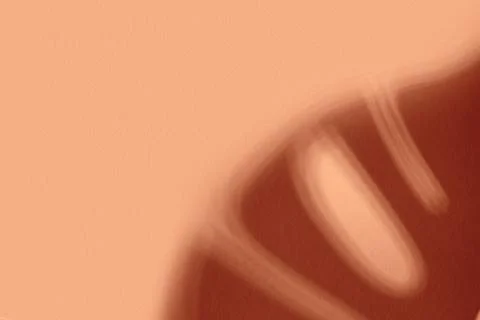 Creative copyspace with shadows on a shiny soft pink wall. Top view of leaves Stock Photos