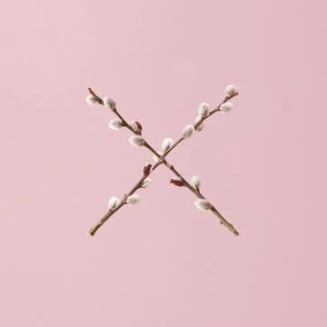 Creative cross x layout made of willow twigs against pastel pink background. Stock Photos