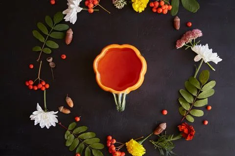 Creative cup in shape of pumpkin of natural tea among rowan berries, acorns Stock Photos