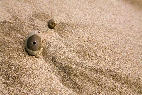 Creative curve and form sea sand and rock pattern texture fine art photogr... 스톡 사진