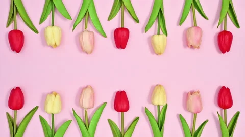 Creative dance of colorful tulips spring flowers. Stop motion 스톡 동영상 190480324