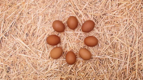 Creative dancing move of fresh eggs on straw theme. Stop motion Stock-Footage 149327206