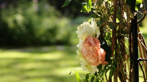 Creative decorated wedding arch with branches and roses, green forest on the Stock Footage 65502638