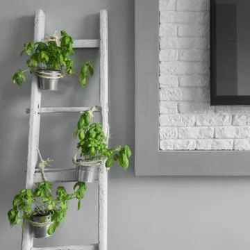 Creative decoration from ladder Stock Photos