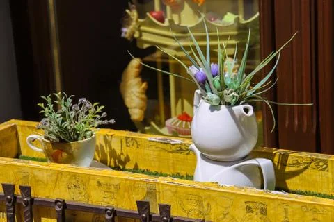Creative design of cafe window on Katedralna Square in Lviv, Ukraine Stock Photos