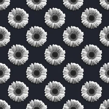 Creative design of floral seamless pattern with head of gerbera flower, squar Stock Photos
