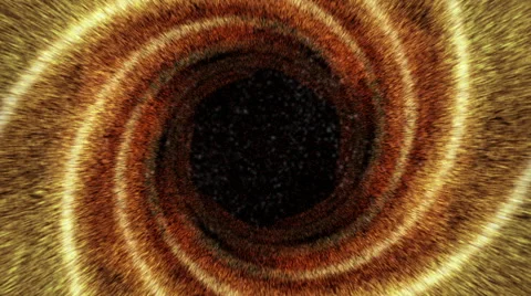 Creative design intro Stock Footage 61776831