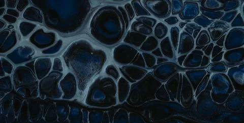 A Creative Design with Water-Inspired Textures and Patterns イラスト素材