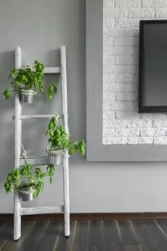 Creative DIY flower stand Foto stock