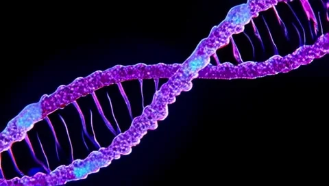 Creative DNA Helix &amp; Chromosome  Science &amp; Biotechnology Loop Stock Footage 312051926