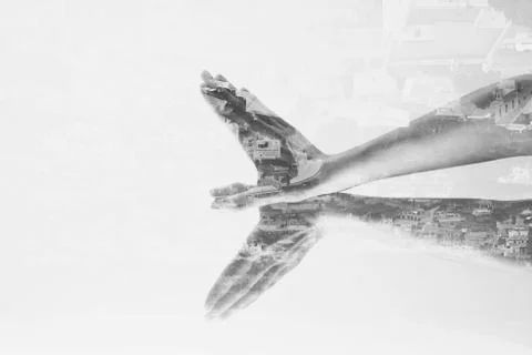 Creative double exposure of female hands depicting bird, monochrome Stock Photos