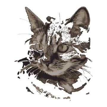 Creative drawing cat. Stock Illustration