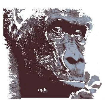 Creative drawing Gorilla. Illustrazione stock