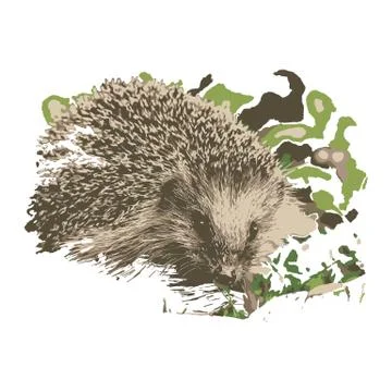 Creative drawing hedgehog. Stock Illustration