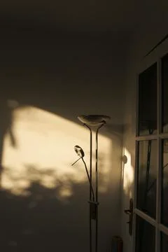 Creative drawing of light and shadow for your design. Stock Photos