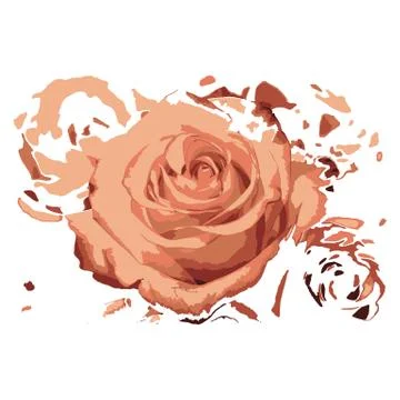 Creative drawing Rose. イラスト素材