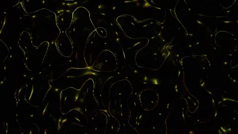 Creative Dynamic Luminous Green Yellow Abstract Motion Graphics with Flowin.. Stock Footage 343894848