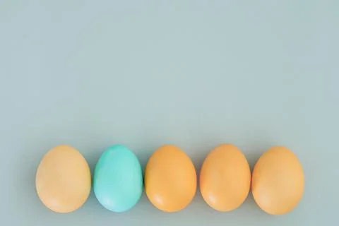 Creative Easter background with yellow eggs and one blue on a light blue Stock Photos