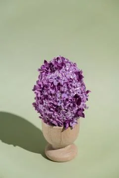 Creative Easter egg shape made of lilac spring petals flowers. Minimal holiday Stock Photos