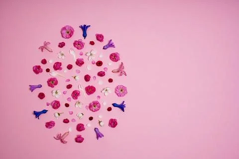 Creative easter layout as easter egg with spring flowers and buds Stockfoto's