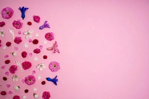 Creative easter layout. horizontal pattern made with spring flowers Stock Photos