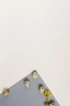 Creative Easter layout of quail eggs on a geometric gray and white background Fotos de archivo