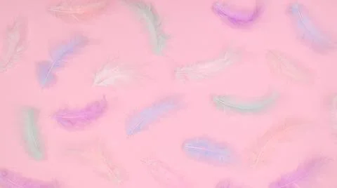 Creative Easter pattern with elegant feathers on pastel bright pink backgroun Stock Photos