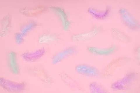 Creative Easter pattern with elegant feathers on pastel bright pink backgroun Stock Photos