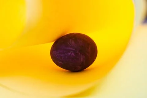 Creative Easter photo, purple egg on a yellow background. Space for text. Stock Photos