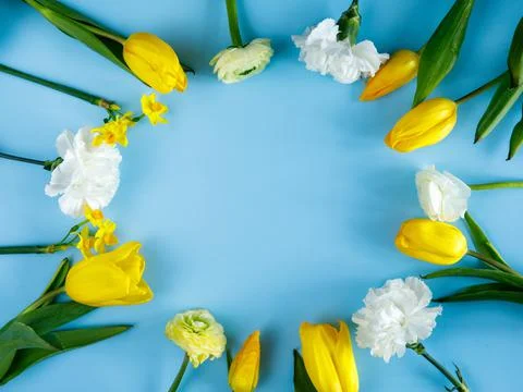 Creative Easter wreath made from white yellow flowers on pastel blue background Stock Photos