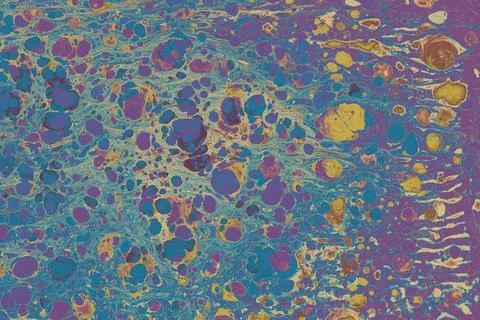 Creative ebru background with abstract acrylic painted marbling texture. Stock Photos