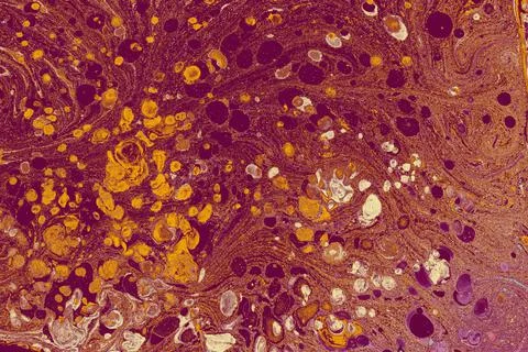 Creative ebru background with abstract acrylic painted marbling texture. Stock Photos