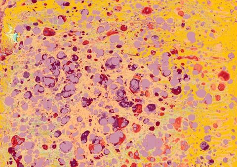 Creative ebru maarbling background texture  with abstract paint. Stock Illustration