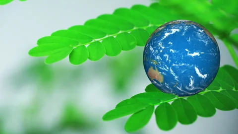 Creative eco-concept displaying the continents of Earth on a vibrant green leaf Stock Footage 340390615
