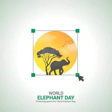 Creative elephant day ads design. elephant day, elephant vector design, Aug.. Stock Illustration