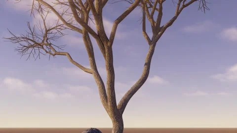 Creative environmental concept video with an eco-friendly theme Video stock 313825590